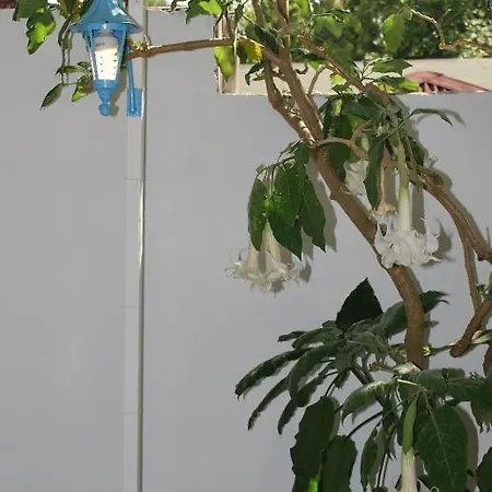 Myra 호텔 달리안