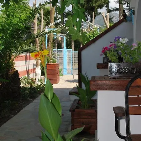 Hotel Myra 3*